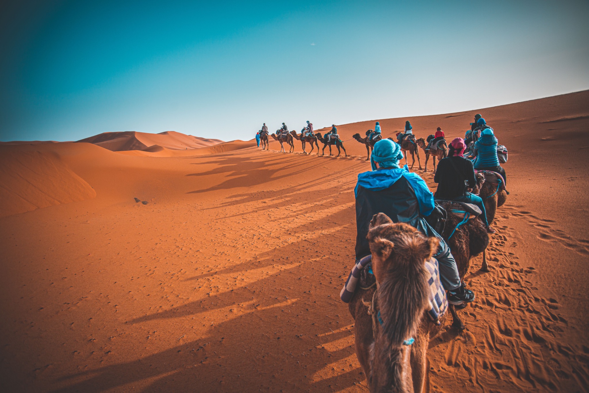 Family camel experience in the Sahara