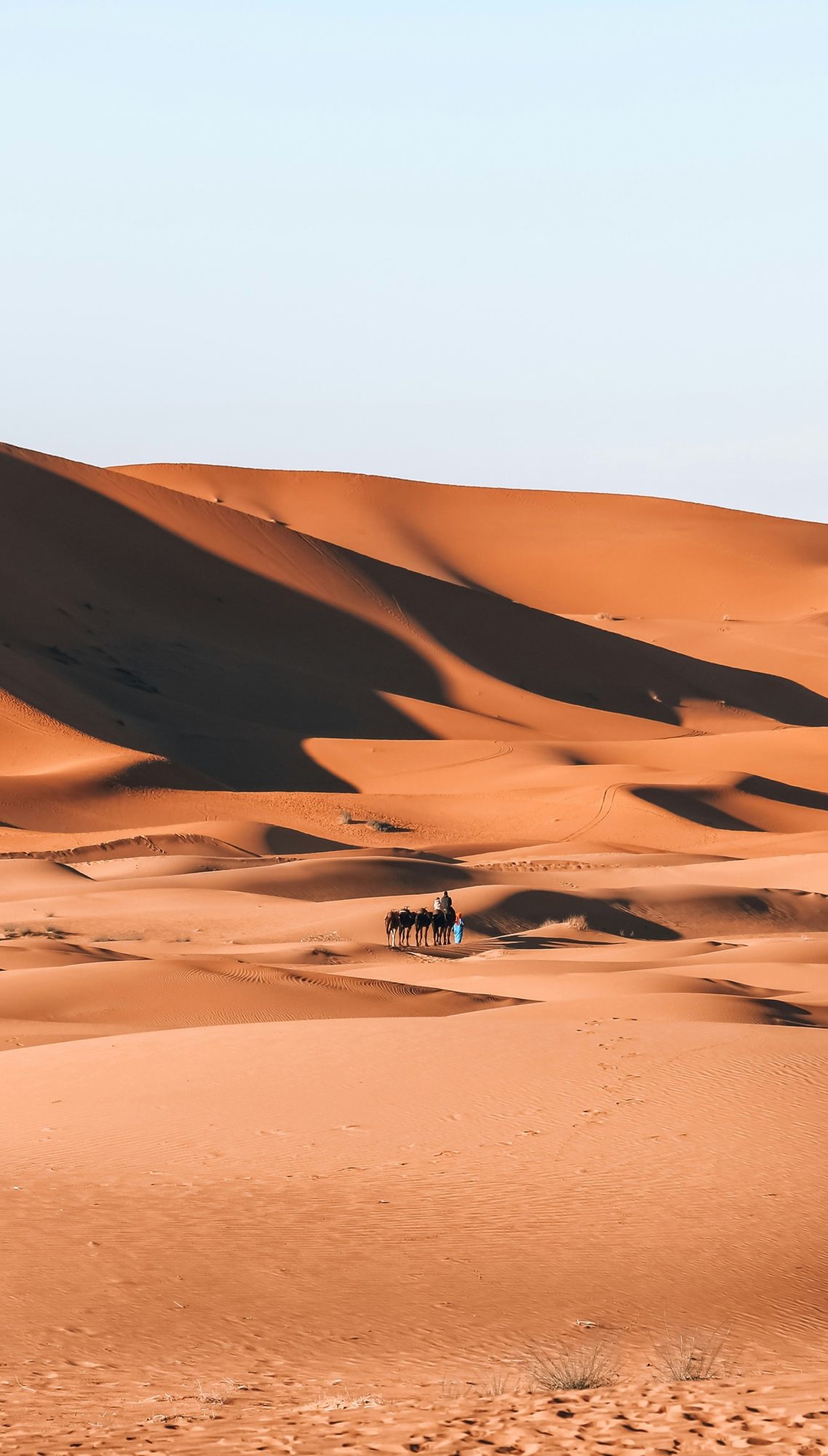 A camel caravan crossing the Erg Chebbi dunes near Merzouga