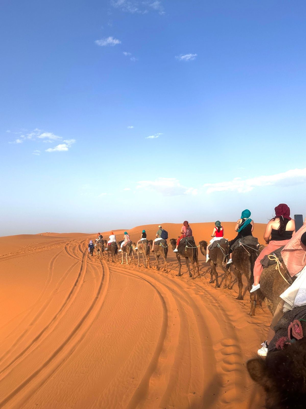 A group on a camel ride through the Merzouga dunes
