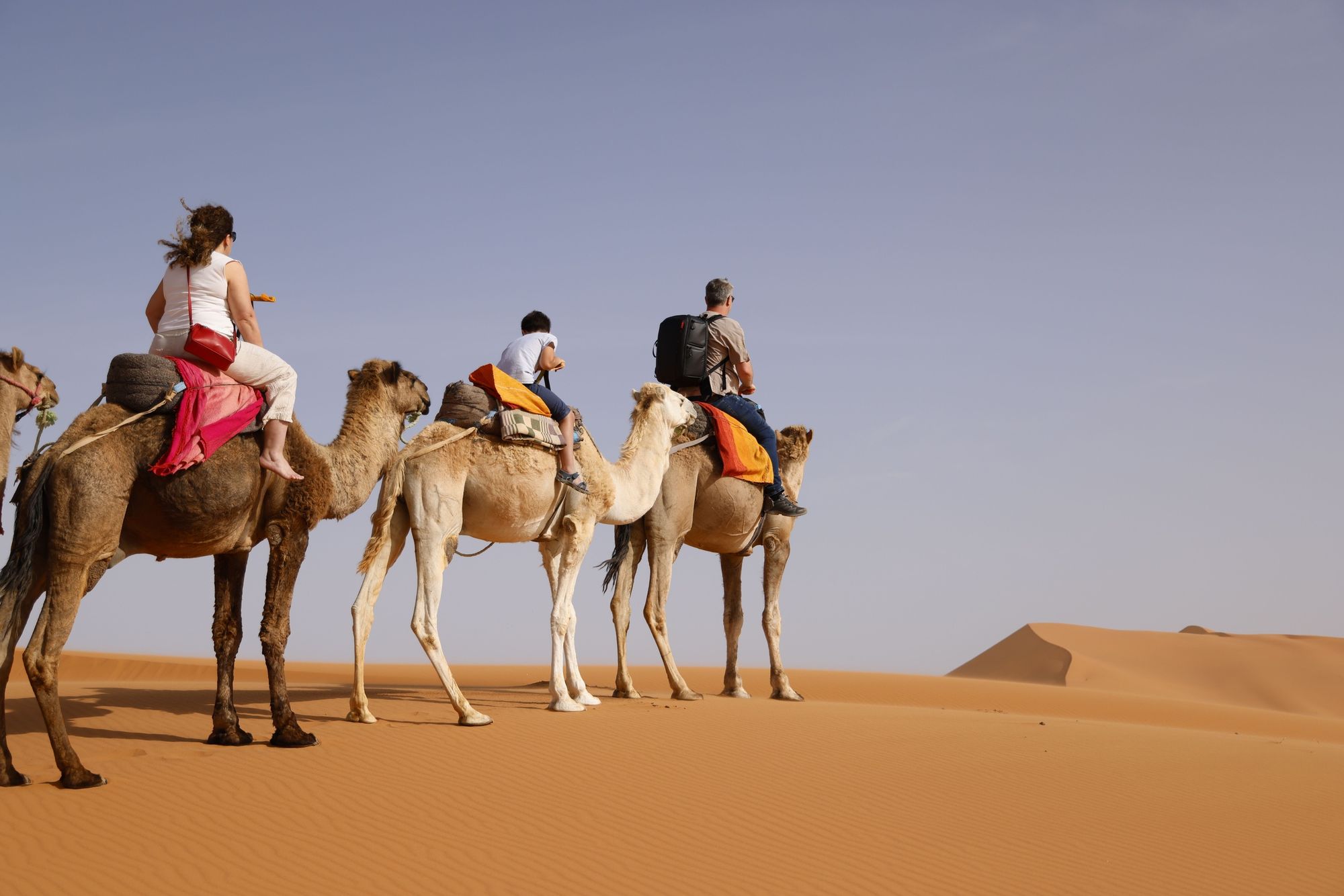 Family on a camel trek across Sahara dunes in Morocco