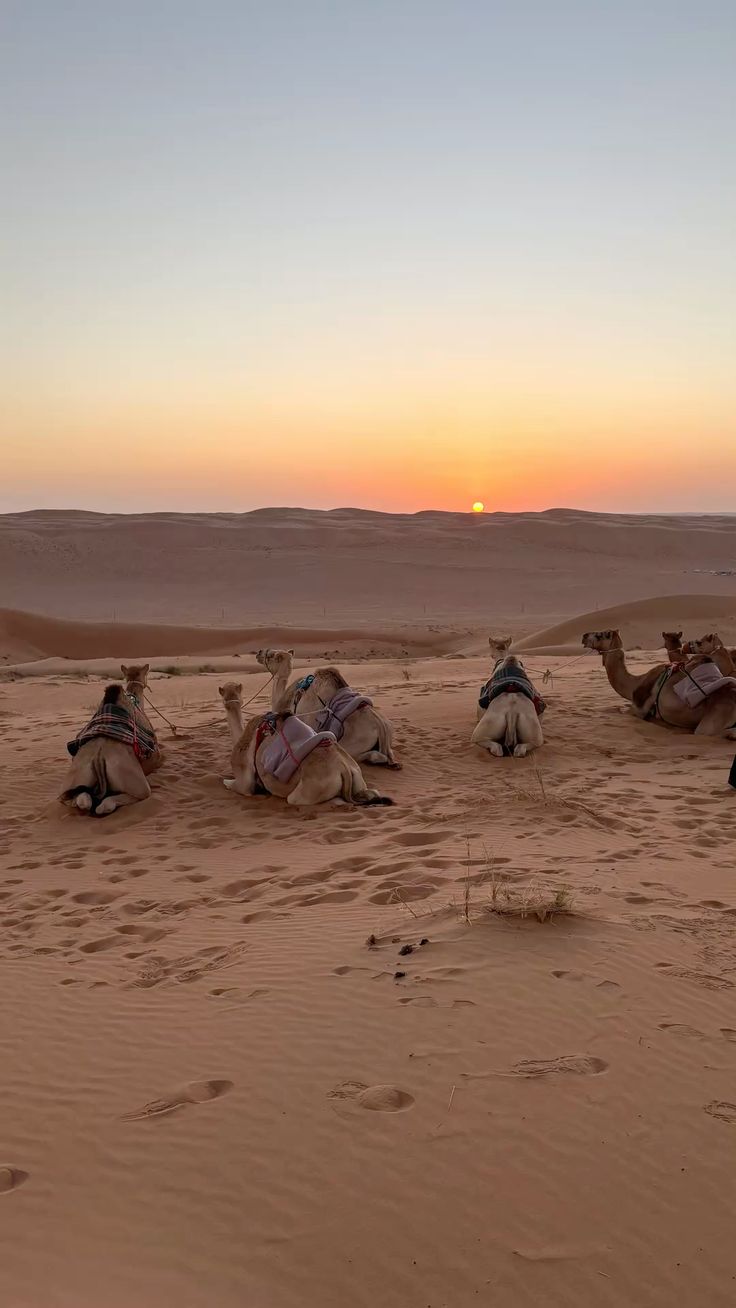 Sahara Desert Tour