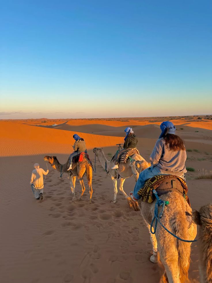 Sahara Desert Camel Trek